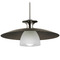 Progress Lighting Progress Lighting Trimble Brushed Nickel & Graphite Pendant Light with Bowl / Dome Shade P500394-009