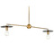 Progress Lighting Progress Lighting Trimble Brushed Bronze & Matte Black Island Light P400336-109