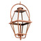 Progress Lighting Progress Lighting Bradshaw Antique Copper (painted) Outdoor Hanging Light P550138-169