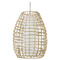 Progress Lighting Progress Lighting Pawley Galvanized Outdoor Hanging Light P550083-141