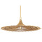 Troy Lighting Troy Lighting Costa Mesa Vintage Gold Leaf Pendant Light with Coolie Shade F8831-VGL