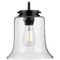 Progress Lighting Progress Lighting Winslett Matte Black Mini-Pendant Light with Bell Shade P500238-031