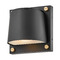 Hinkley Hinkley Scout Black & Brass LED Outdoor Wall Light 20020BK-LL