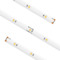 American Lighting STL Series LED Tape Light 2700K IP54 100-Ft by American Lighting STL-UWW-100