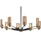 Troy Lighting Troy Lighting Pilsen Soft Off Black & Patina Brass Chandelier F6878