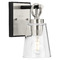 Progress Lighting Progress Lighting Cowan 1-Light Brushed Nickel Bath Vanity Light P300480-009