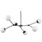 Progress Lighting Progress Lighting Adley 5-Light Matte Black Chandelier P400378-31M
