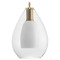Progress Lighting Progress Lighting Safford 1-Light Silver Ridge Pendant Light P500438-191