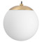 Progress Lighting Progress Lighting Atwell Brushed Bronze Mini-Pendant Light with Globe Shade P500461-109
