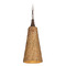 Troy Lighting Troy Lighting Kenzo Bronze Leaf LED Mini-Pendant Light with Conical Shade F2709-BRL