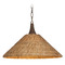 Troy Lighting Troy Lighting Kenzo Bronze Leaf LED Pendant Light with Coolie Shade F2721-BRL