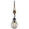 Troy Lighting Troy Lighting Murphy Forged Iron & Rustic Wood Mini-Pendant Light with Teardrop Shade F4904-FOR