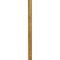Progress Lighting Progress Lighting Point Dume Painted Bronze Extension Stem Kit P8602-204