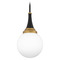 Quoizel Lighting Quoizel Lighting Arlo Matte Black & Lustrous Brass Mini-Pendant Light with Globe Shade QP6758MBK