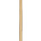 Progress Lighting Progress Lighting Accessory Stem Kit Satin Brass Indoor Stem Segment P8601-12