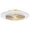 Corbett Lighting Corbett Lighting Topaz Vintage Polished Brass LED Flushmount Light 328-16-VPB