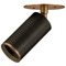 Troy Lighting Troy Lighting Caleb Patina Brass & Bronze LED Directional Spot Light C1305-PBR/BRZ
