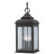 Troy Lighting Troy Lighting Henry Street Textured Bronze Outdoor Hanging Light F2017-TBZ