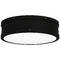 Quoizel Lighting Quoizel Lighting Quoizel Fixture Matte Black LED Flushmount Light QF5224MBK
