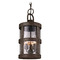 Troy Lighting Troy Lighting Barbosa Aged Pewter Outdoor Hanging Light F3317-APW
