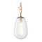 Hudson Valley Lighting Hudson Valley Lighting Bruckner Aged Brass Mini-Pendant Light with Teardrop Shade 2109-AGB