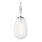 Hudson Valley Lighting Hudson Valley Lighting Bruckner Polished Nickel Mini-Pendant Light with Teardrop Shade 2109-PN