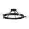 Progress Lighting Progress Lighting Bowman 2-Light Matte Black Flush Mount Light P350240-31M
