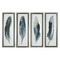 Uttermost Lighting Uttermost Feathered Beauty Prints, S/4 41554
