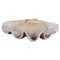 Uttermost Lighting Uttermost Clam Shell Bowl 19800