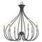 Progress Lighting Progress Lighting Whisp Graphite Chandelier P400030-143