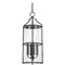 Troy Lighting Troy Lighting Burbank Textured Black Outdoor Hanging Light F1310-TBK