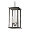 Troy Lighting Troy Lighting Zuma French Iron Outdoor Hanging Light F6710-FRN