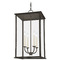 Troy Lighting Troy Lighting Zuma French Iron Outdoor Hanging Light F6715-FRN