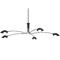 Troy Lighting Troy Lighting Leo Soft Black Chandelier F7815-SBK