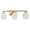 Progress Lighting Progress Lighting Safford 3-Light Silver Ridge Vanity Light P300432-191