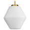 Progress Lighting Progress Lighting Safford 1-Light Silver Ridge Mini Pendant P500409-191