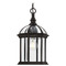 Progress Lighting Progress Lighting Dillard Antique Bronze Outdoor Hanging Light P550122-020