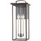 Troy Lighting Troy Lighting Eden Textured Bronze Outdoor Wall Light B7523-TBZ