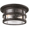 Troy Lighting Troy Lighting Barbosa Aged Pewter Close To Ceiling Light C3310-APW