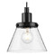 Progress Lighting Progress Lighting Hinton 1-Light Matte Black Pendant P500382-31M