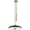 Troy Lighting Troy Lighting Plummet Patina Brass & Soft Black LED Pendant Light with Bowl / Dome Shade F1618-PBR/SBK
