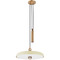 Troy Lighting Troy Lighting Plummet Patina Brass & Soft Sand LED Pendant Light with Bowl / Dome Shade F1618-PBR/SSD