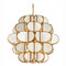 Currey and Company Lighting Currey and Company Galatea Natural / Brass Chandelier 9000-1339