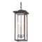 Troy Lighting Troy Lighting Eden Textured Bronze Outdoor Hanging Light F7520-TBZ