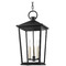 Troy Lighting Troy Lighting Soren Textured Black Outdoor Hanging Light F8911-TBK
