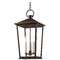 Troy Lighting Troy Lighting Soren Textured Bronze & Highlight Outdoor Hanging Light F8911-TBZH