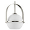 Progress Lighting Progress Lighting Delayne Brushed Nickel Mini-Pendant Light with Globe Shade P500358-009
