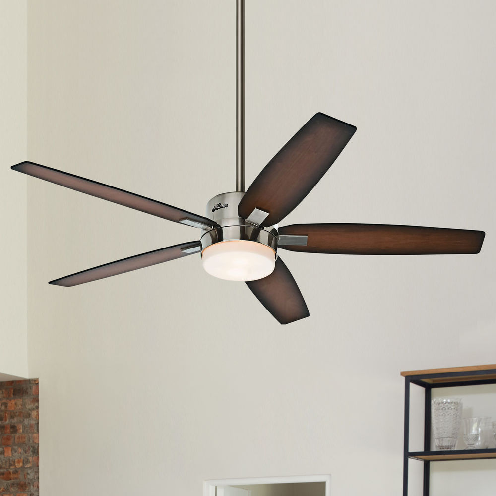 Hunter Fan Company Windemere Brushed Nickel Ceiling Fan With Light