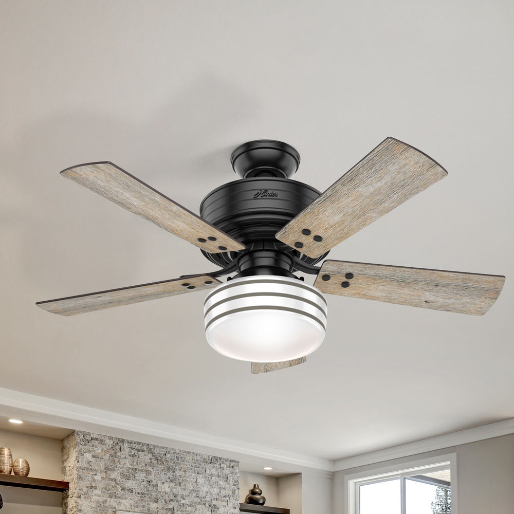 Hunter 44 Inch Matte Black Led Ceiling Fan With Light With Hand