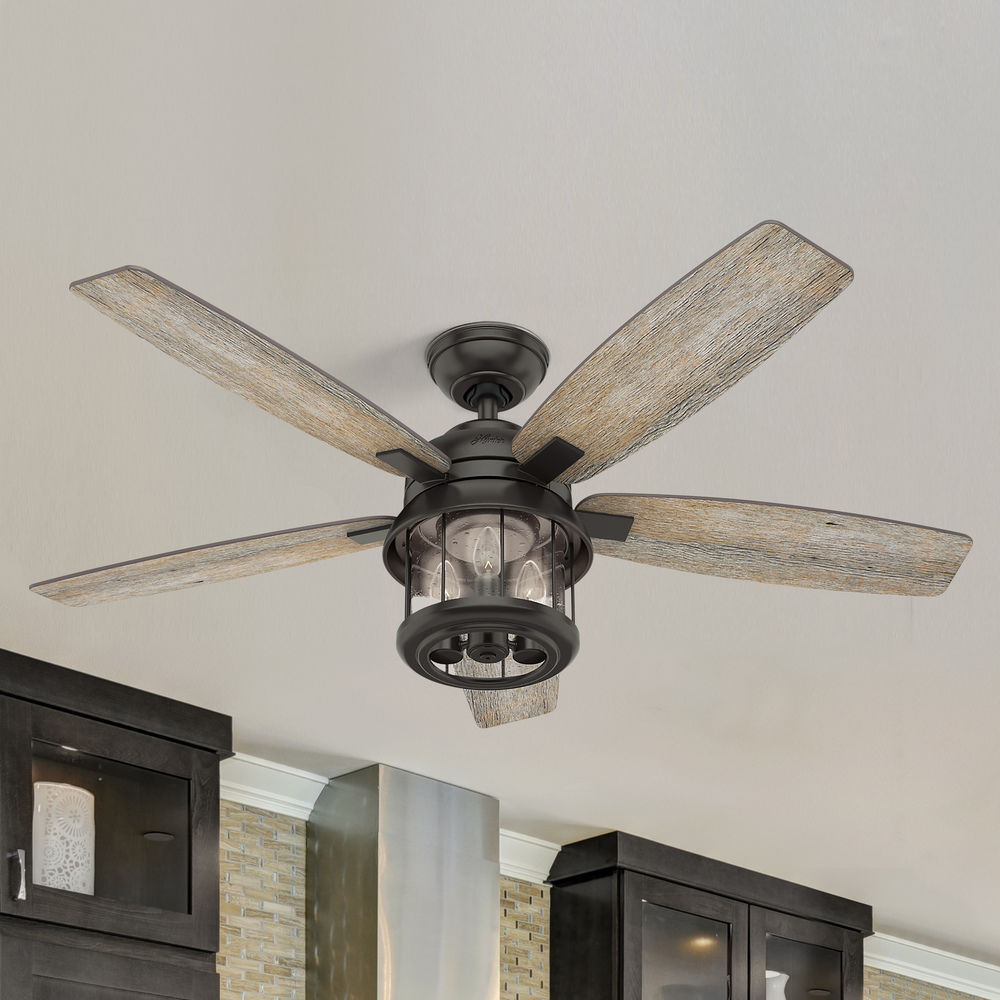 Noble Bronze Hunter Fan Company Coral Bay 52 In Outdoor Ceiling Fan with Light 